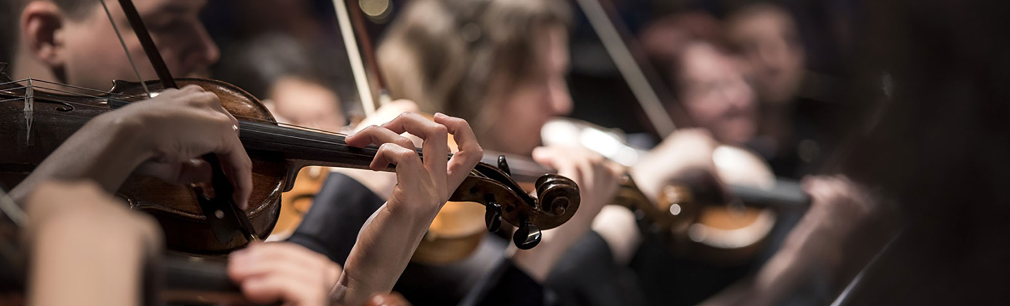 Violin concert in vineyard