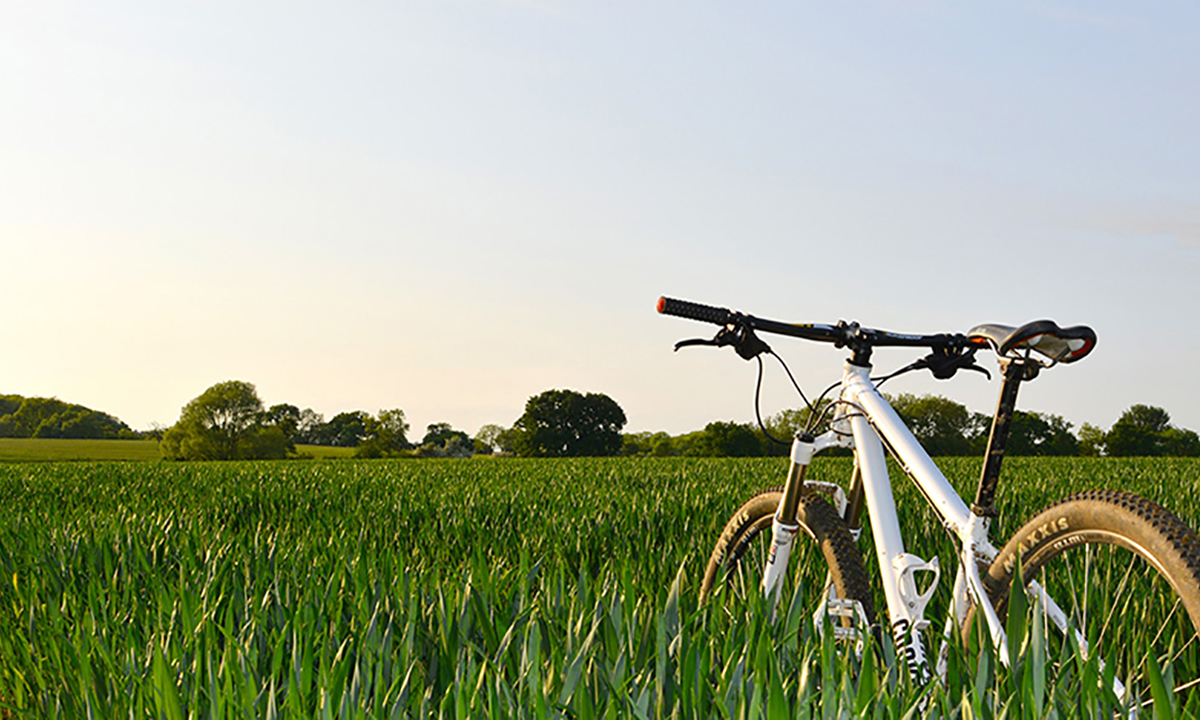 Bicycle and Horse riding