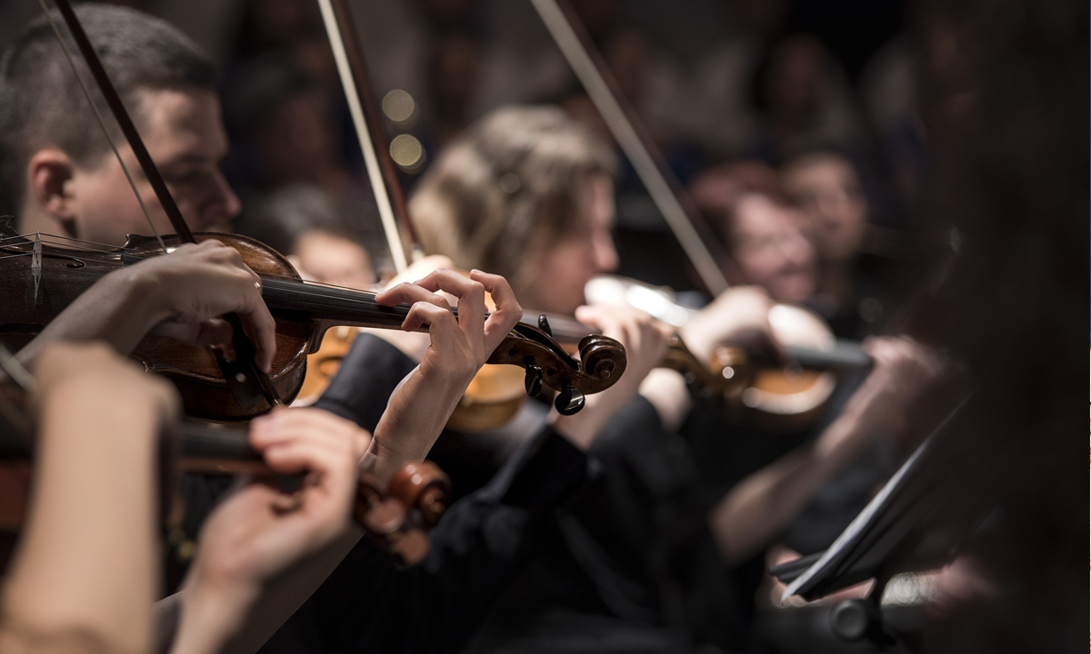 Violin concert in vineyard